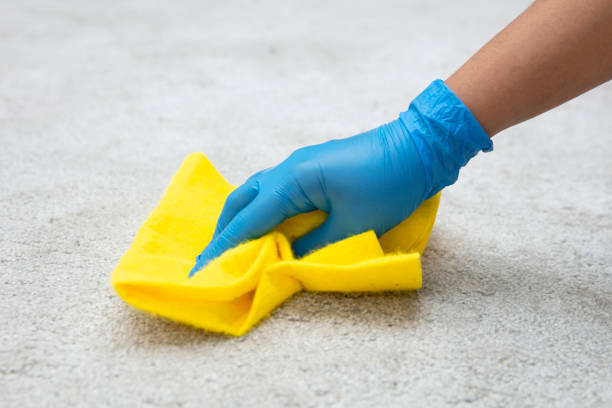 Carpet Cleaning