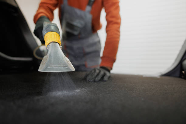 Carpet Cleaning