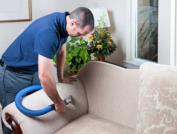 Carpet Cleaning