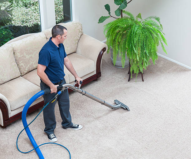 Carpet Cleaning