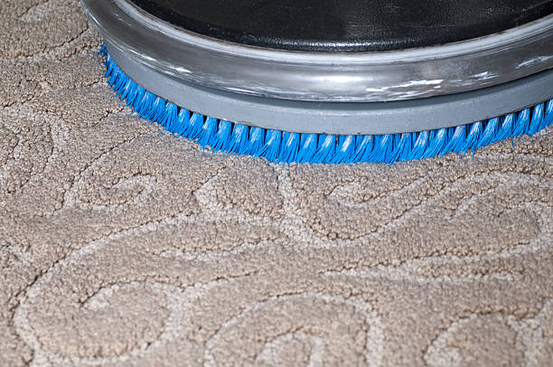 Carpet Cleaning