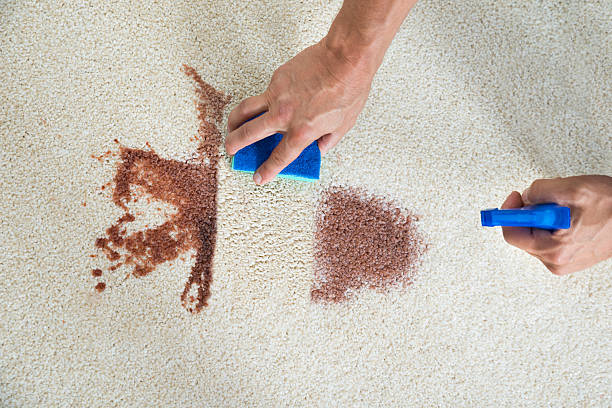 Carpet Cleaning